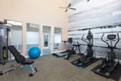 Thumbnail 7 of 15 - a gym with cardio equipment and a mural of a beach